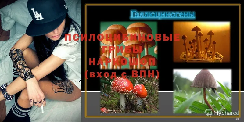 Псилоцибиновые грибы Psilocybine cubensis  даркнет сайт  hydra ссылка  Горняк 